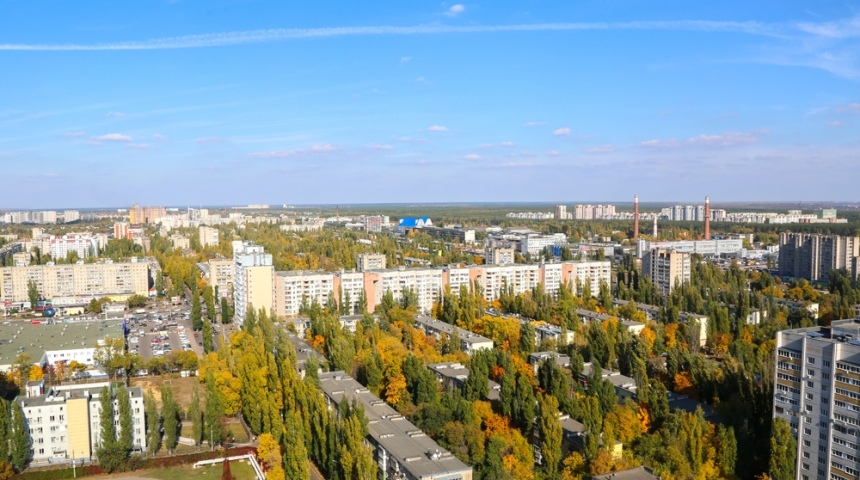 В рамках международной программы под эгидой ООН Воронежу присвоен статус «Город деревьев мира»