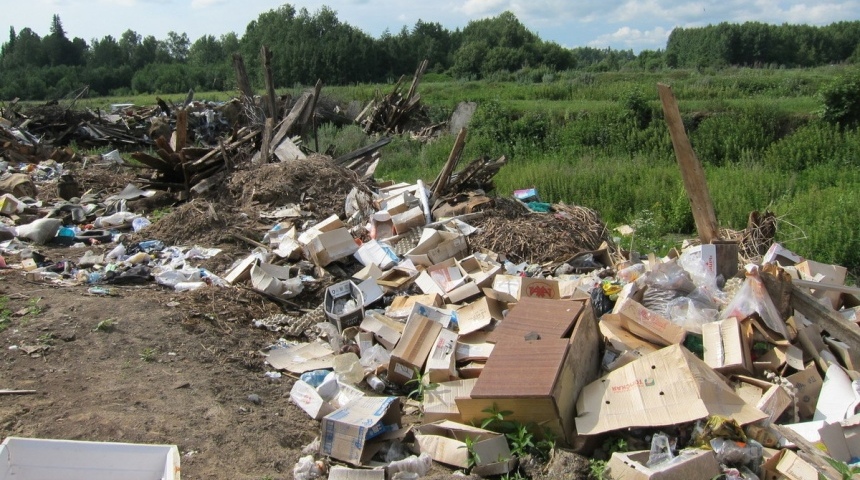 Александр Гусев поручил ликвидировать скопление мусора вдоль дорог в регионе