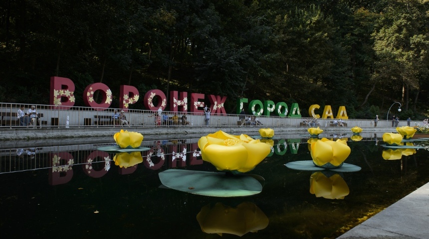 В рамках фестиваля «Город-сад» будут благоустроены социально значимые объекты Воронежа