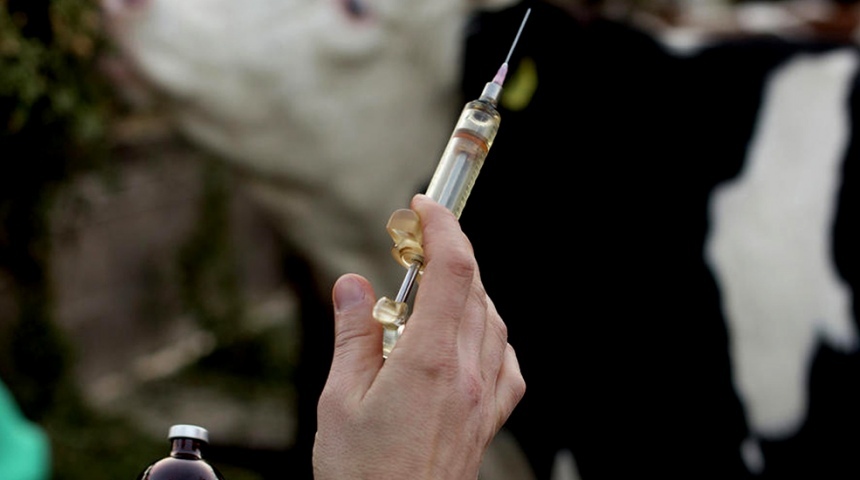 В окрестностях Воронежа обнаружили вакцинау против сибирской язвы с истекшим сроком годности