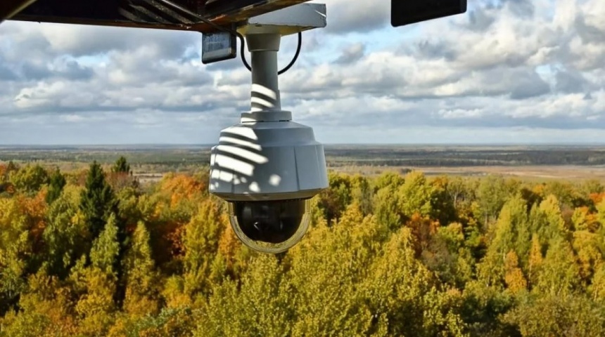 За сохранностью Северного леса в Воронеже будут следить через камеры видеонаблюдения