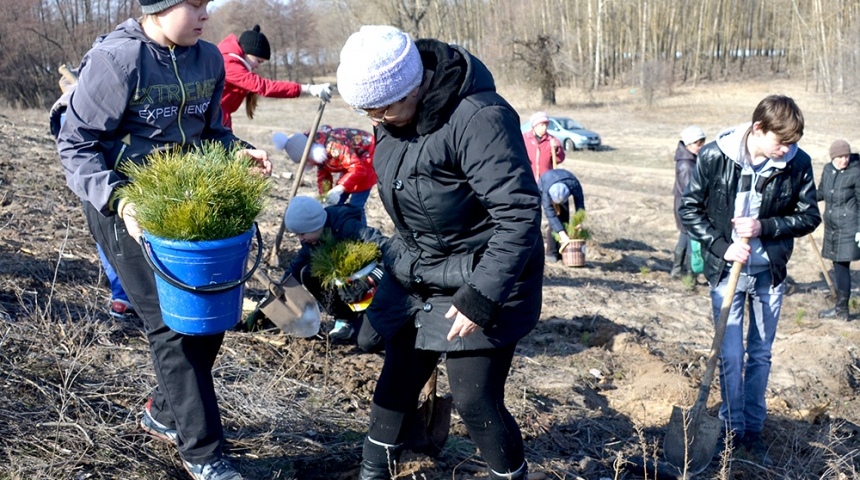 В Воронежской области стартовала весенняя кампания по посадке леса