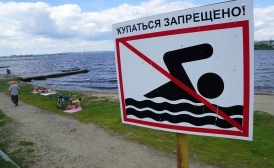 Купание на пяти пляжах Воронежской области опасно для здоровья