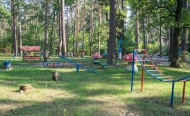 Воронежская мэрия планирует строительство детских оздоровительных летних лагерей