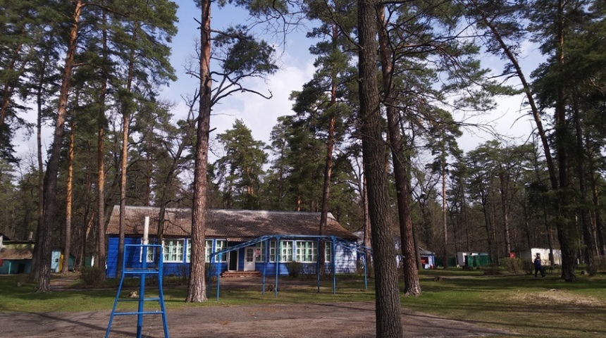 В Воронеже начали готовить программу реконструкции и строительства детских оздоровительных лагерей