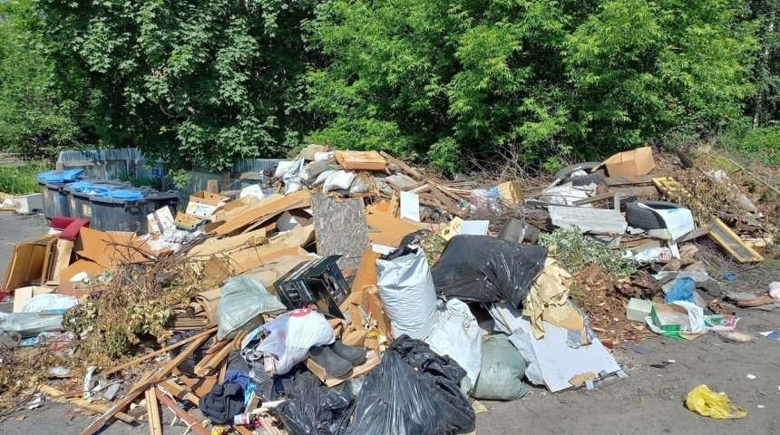 Несанкционированные свалки фиксируют в разных районах Воронежской области