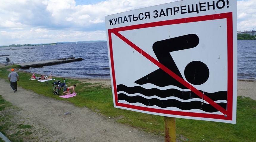 Купание на пяти пляжах Воронежской области опасно для здоровья