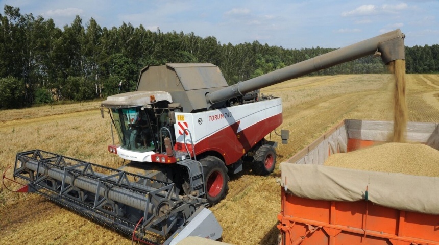 В Воронежской области валовый сбор зерна превысит 5 млн.тонн