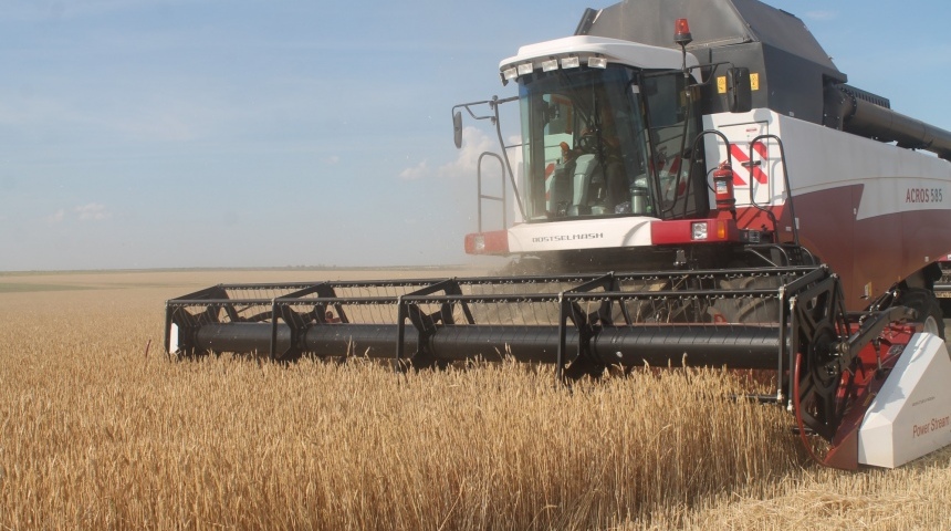 Воронежские аграрии отчитались о собранном первом миллионе тонн зерна