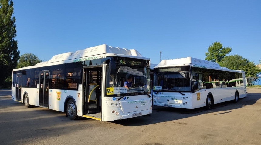 Первые 12 новых автобусов вышли на магистральные маршруты в Воронеже 