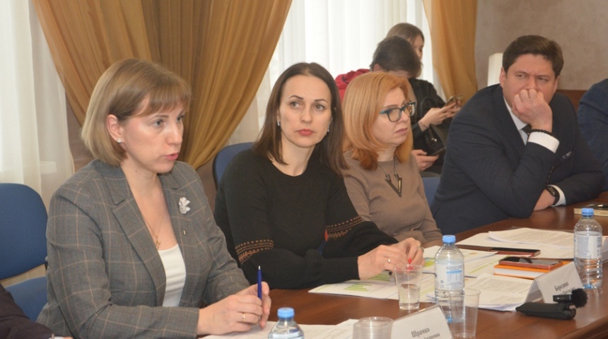 Воронежские депутаты высказались за осмысленный подход к развитию внутреннего туризма