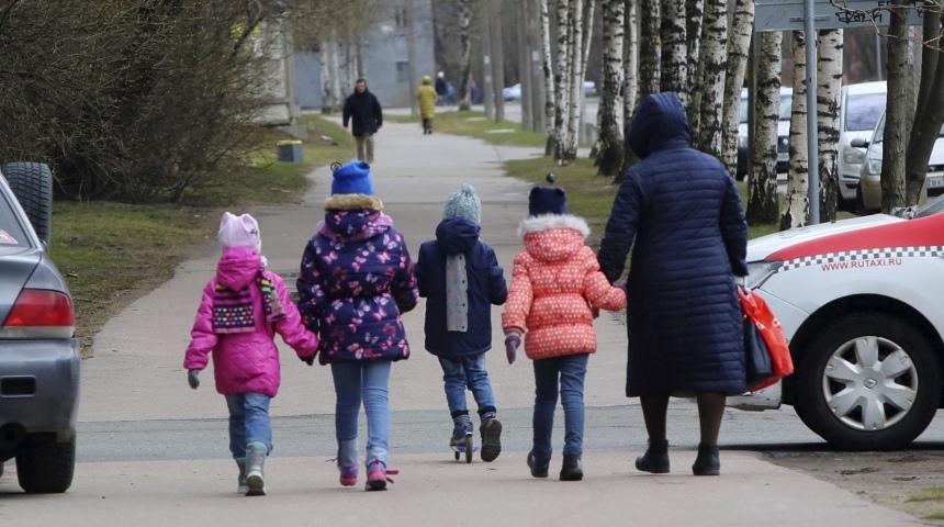 В Воронежской области по программе помощи многодетным семьям выделили 6000 земельных участков