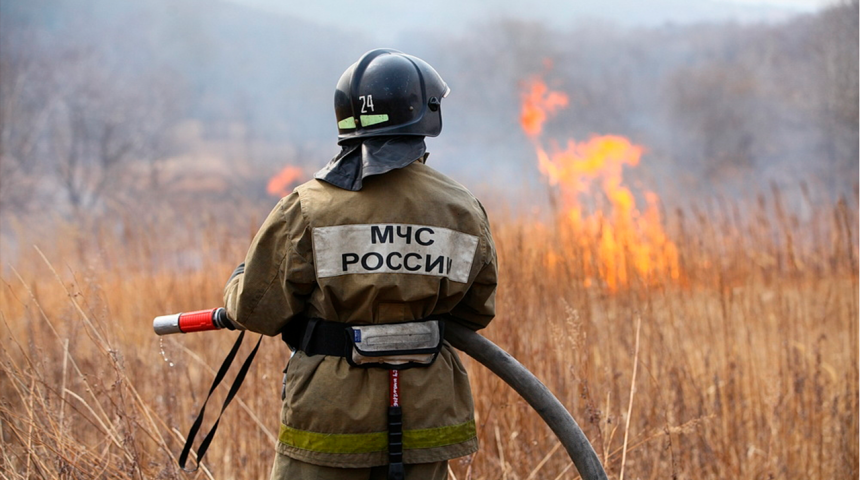 В Воронежской области с апреля вновь введут особый противопожарный режим