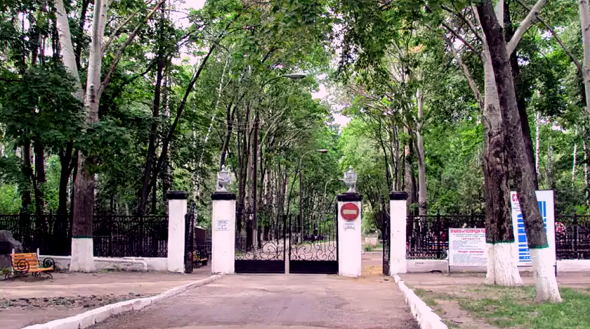 В Воронеже часть Коминтерновского кладбища станет объектом культурного наследия