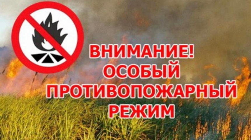 МЧС предупреждает воронежцев об особом противопожарном режиме в регионе с 17 апреля