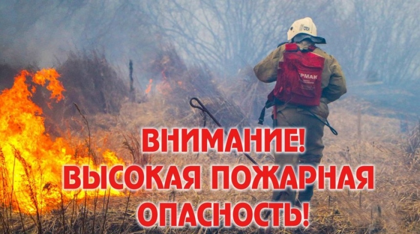 В Воронежской области объявили высокий уровень пожарной опасности