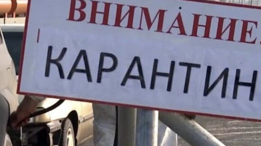 В Репьевском районе Воронежской области введен карантин по бешенству
