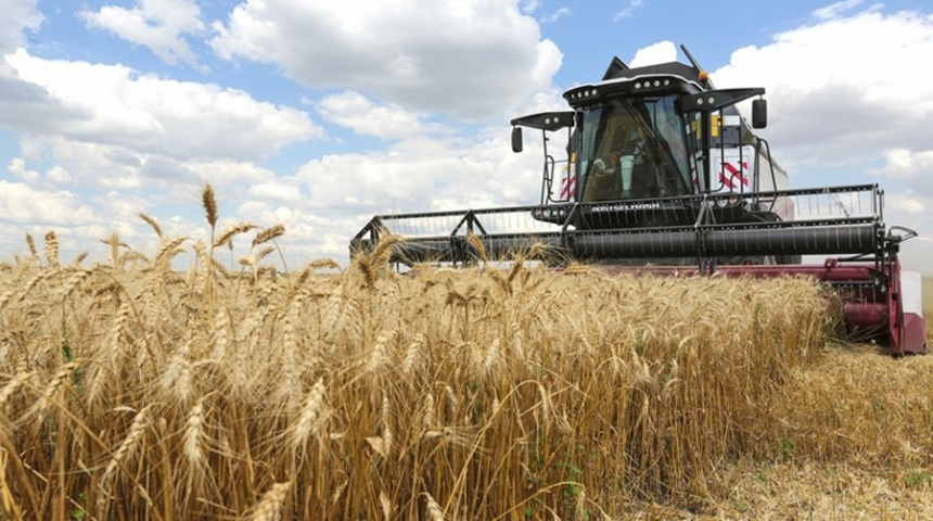 В Воронежской области собрано 4 млн тонн зерновых
