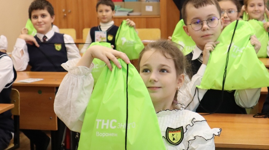 Специалисты «ТНС энерго Воронеж» провели урок энергобезопасности для школьников