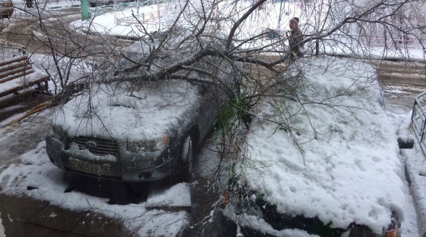 Сильный снегопад и ветер стали причиной участившихся аварий и поваленных деревьев в Воронежской области