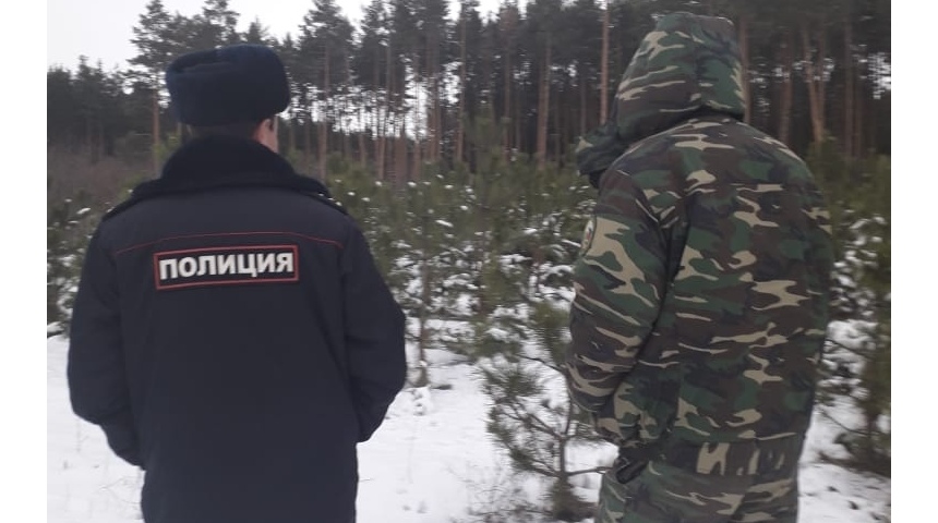 В лесах Воронежской области усилено патрулирование хвойных насаждений