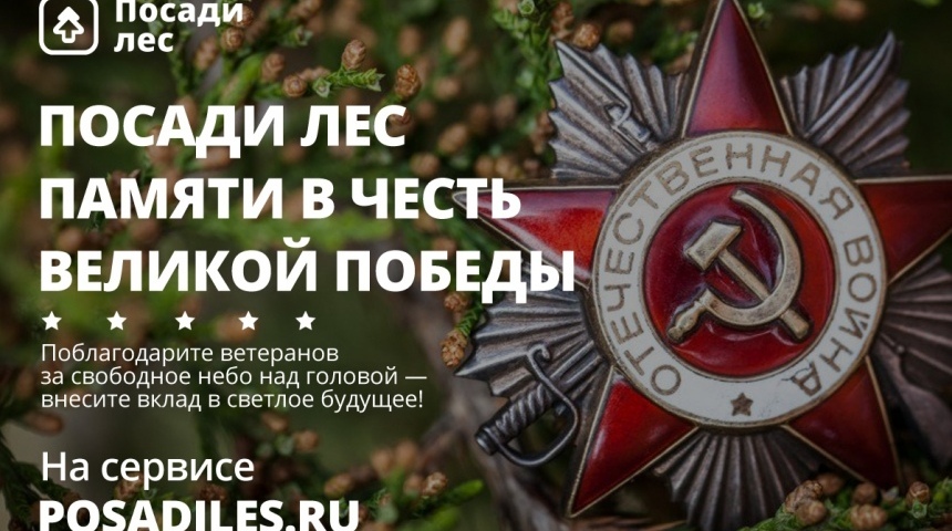 Живая память: россияне посадят деревья в честь своих ветеранов