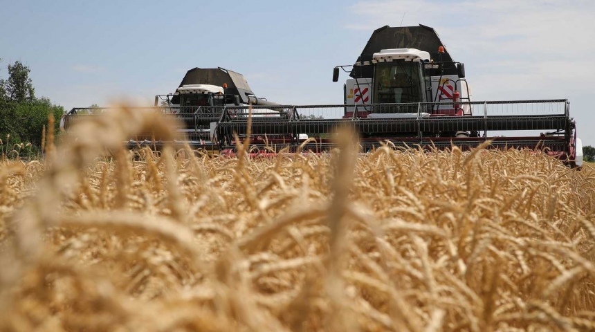 В регионе собран первый миллион тонн зерна