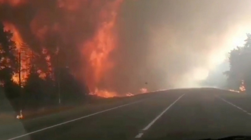 Лесные пожары в Воронежской области: обстановка накалена