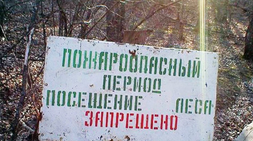 В Воронежской области объявлен особый режим посещения лесных массивов