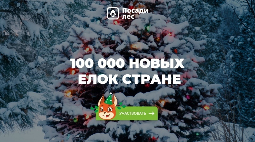 Россиян приглашают подарить 100 тысяч ёлок стране в Новый год 