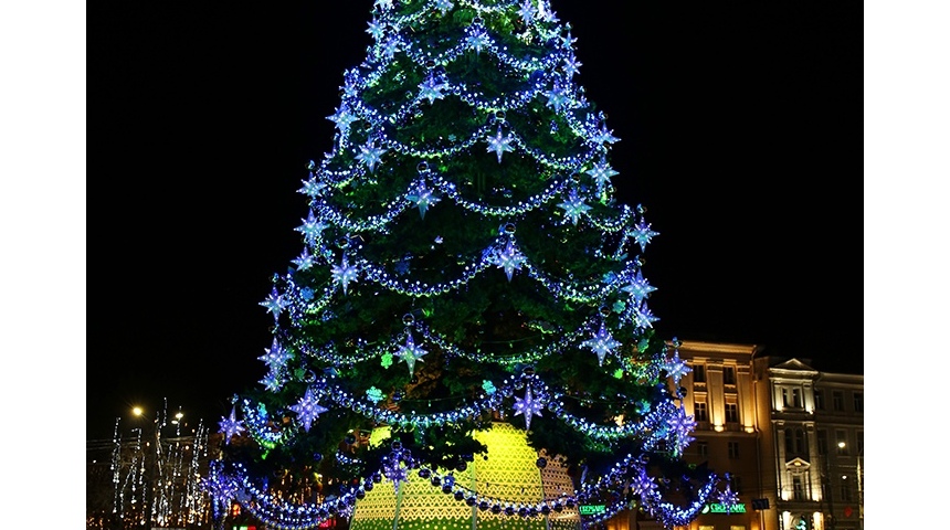 В Воронеже на площади Ленина прошел технический пуск подсветки новогодней ели