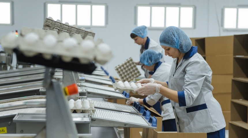 На сельхозпредприятиях Воронежской области к 2023 году создадут более 5 тысяч новых рабочих мест