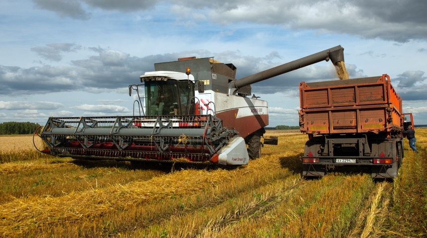 Экспорт сельхозпродукции из Воронежской области в 2021 году должен достигнуть 570 млн долларов