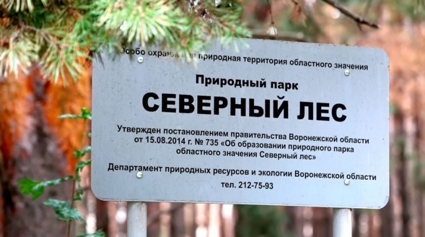 Северный лес, ставший природным парком областного значения, будет благоустроен за 8.2 млн.рублей