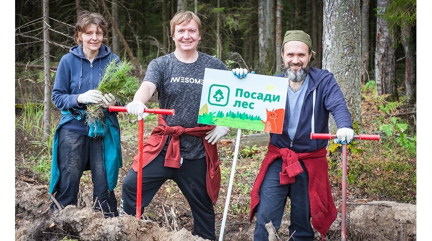 Добровольцев, восстанавливающих леса, наградят денежной премией 