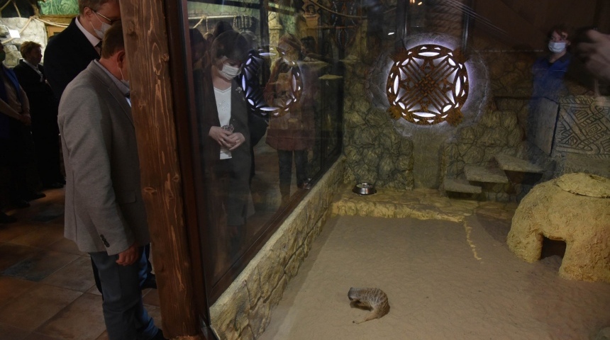 В воронежском зоопарке открыли новый зал для теплолюбивых животных