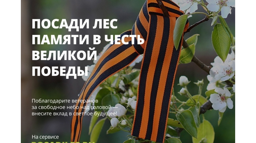 Россияне смогут посадить деревья в честь Дня Победы