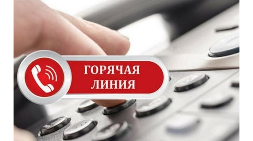 Жители Воронежской области могут сообщить о поддельных товарах на горячую линию «Антиконтрафакт»