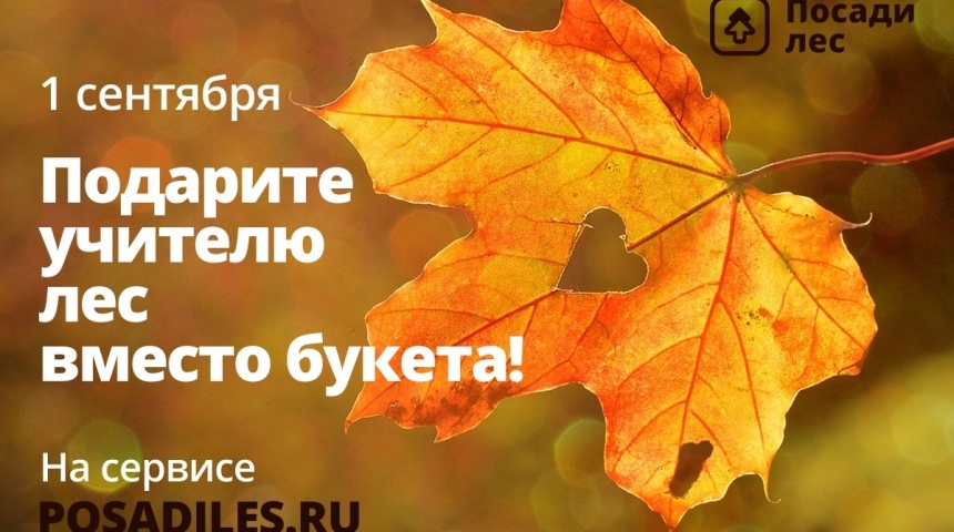 Воронеж присоединится к всероссийской акции «Лес вместо букета» к 1 сентября