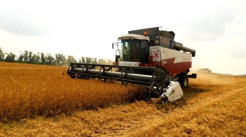 В Воронежской области собран первый миллион тонн зерна нового урожая