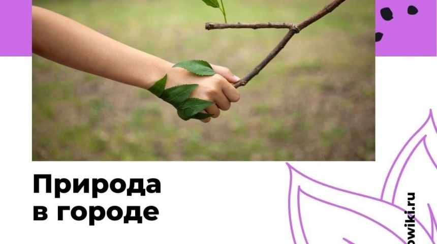 Воронежцев приглашают принять участие в онлайн-конференции «Природа в городе»
