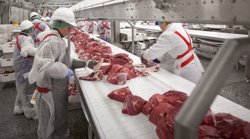 С начала года экспорт животноводческой продукции в Китай из Воронежской области увеличился в 40 раз