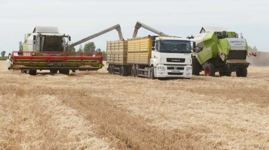 В Воронежской области собран третий миллион тонн зерна