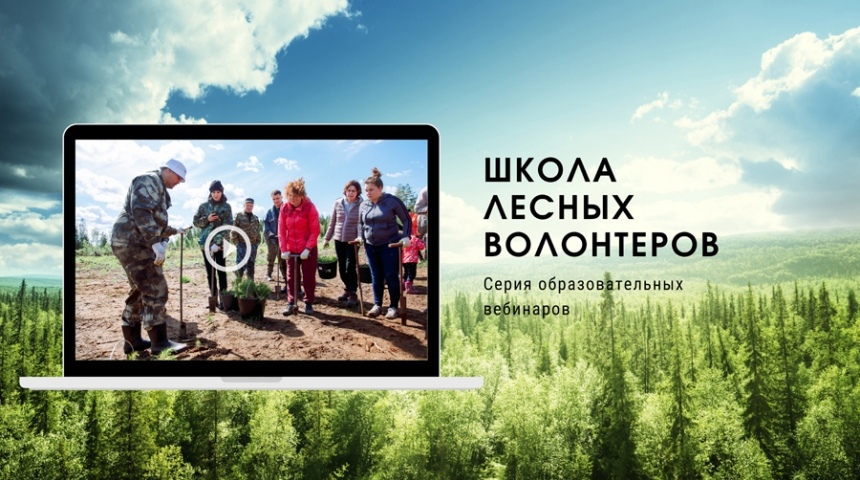 Школа Лесных Волонтеров запустила серию образовательных вебинаров