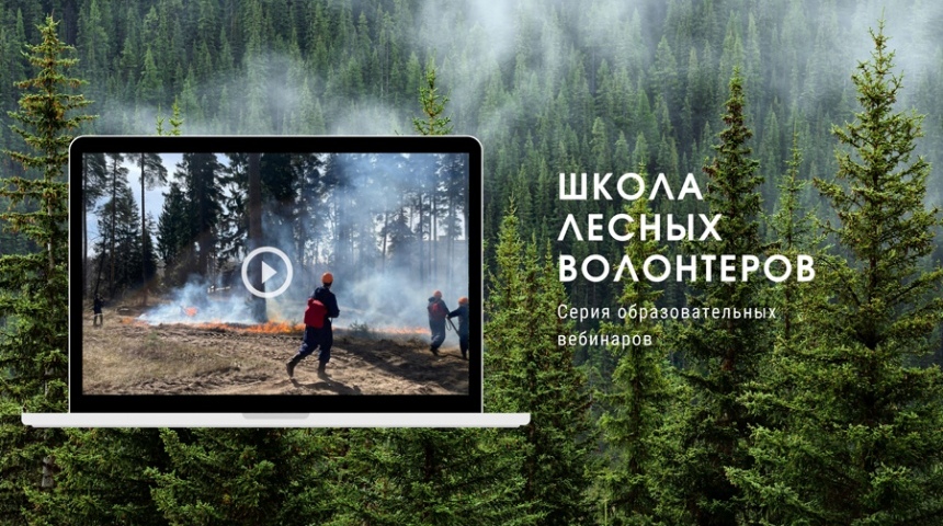Школа Лесных Волонтеров запустила серию образовательных вебинаров