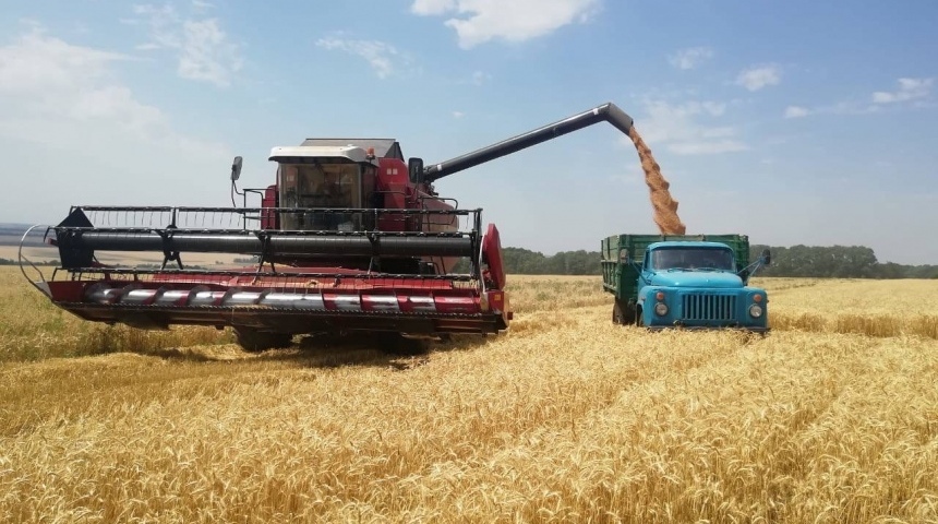 Аграрии Воронежской области прогнозируют получить среднегодовой валовой сбор зерновых на уровне 4,5 млн. тонн