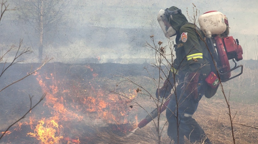 «Посади лес» открыл сбор средств для добровольных лесных пожарных 