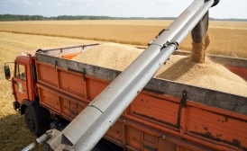 Воронежские аграрии собрали рекордный урожай зерновых