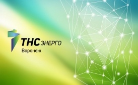 Структура и объем затрат на реализацию электрической энергии ПАО «ТНС энерго Воронеж» за 2022 г. 