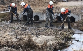 Паводком затопило автомобильные мосты в Воронежской области
